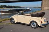 Volkswagen Käfer
