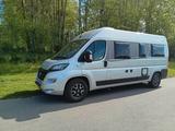 Carado CVE600 Edition 15 - Carado CV600