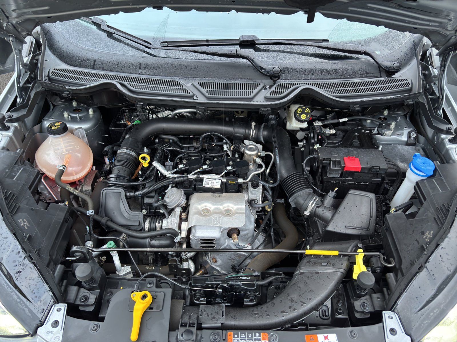 Fahrzeugabbildung Ford EcoSport ST-Line