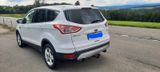 Ford Escape Kuga  - Ford Escape: Geländewagen