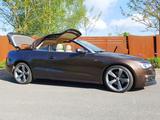 Audi A5 2.0 TDI Cabrio quattro S-Line | TOP - Audi Cabriolet mit Diesel-Antrieb