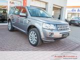 Land Rover Freelander 2 SE TD4 Xenon / AHK / Navi / Kamera - Land Rover Freelander: Grau
