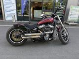 Harley-Davidson  Low Rider 107 Iron Butterfly by Thunderbike  - HARLEY-DAVIDSON THUN