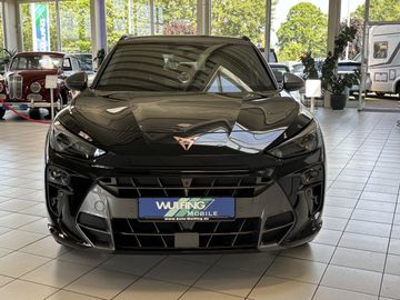 Cupra Terramar - 2