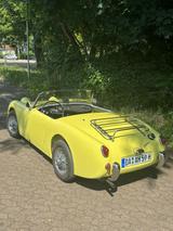 Austin Healey Andere - Austin Healey aus 1959