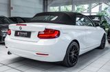 BMW 218 Cabrio SitzHz*PDC*Tempomat*Bluetooth*Breyton - BMW 218 mit Benzin-Antrieb
