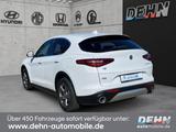 Alfa Romeo Stelvio 2.2 JTDM Super Q4 Bi-Xenon CAM Navi SHZ - Alfa Romeo Stelvio aus 2018