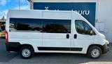 Citroën Jumper Kombi 30 L1H1 Live Blue-HDi 120 - Diesel Gebrauchtwagen