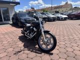 Harley-Davidson Softail Standard Custom Dr.Jekill & Mr.Hide - Angebote entsprechen deinen Suchkriterien