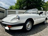 Alfa Romeo Ein wunderschöner Alfa Spider - Alfa Romeo Spider in Frankfurt (Main)