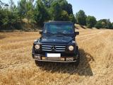 Mercedes-Benz G 300 TD Cabrio 463 - Mercedes-Benz G 300: G300td