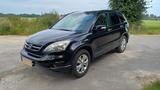 Honda CR-V 2.2 i-DTEC Comfort 50 J. Edition Autom.... - Honda CR-V Comfort mit Diesel-Antrieb