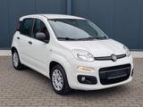 Fiat New Panda 1.2 8V*1.Hand*Klima*Zahnr. Gewechselt - Fiat New Panda aus 2017