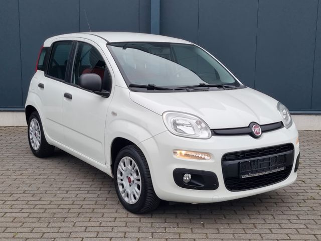 Fiat New Panda 1.2 8V*1.Hand*Klima*Zahnr. Gewechselt