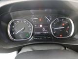Opel Zafira Leif Croscamp  - Opel Zafira