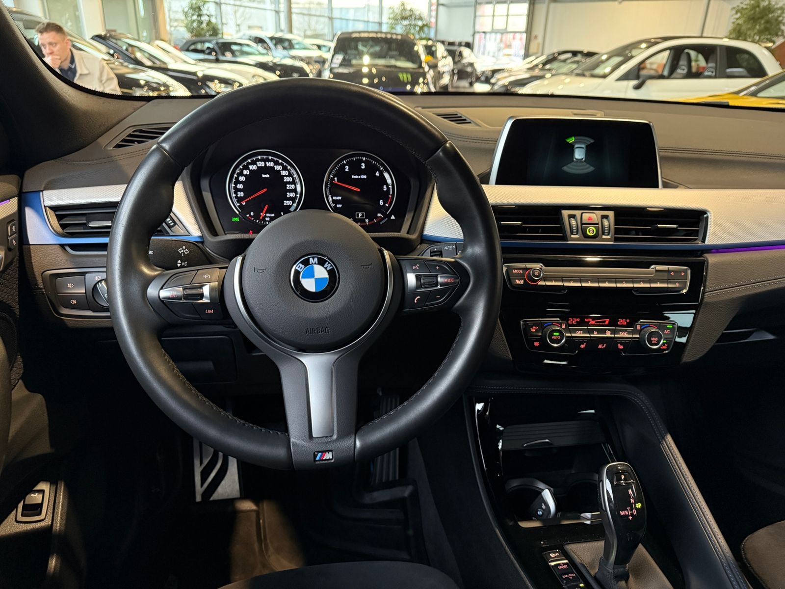 Fahrzeugabbildung BMW X2 xDrive 18 d M Sport AHK LED NAVI 20"