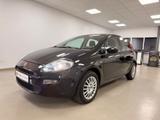 Fiat Punto 1.2*AC*BMT* - Fiat Punto: 1.2