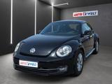 Volkswagen Beetle 1.2 Basis BMT Sitzheizung Tempomat PDC - Volkswagen Beetle: Limousine