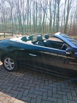 Renault megane 3 cabrio - Renault Megane aus 2011: Cabrio