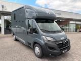 Opel Movano MSG Pferdetransporter Hengstausstattung - Opel Abschleppwagen
