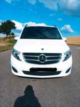 Mercedes-Benz Mercedes V Klasse 250 - Mercedes-Benz E 250: Van