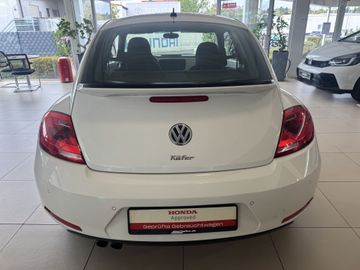 Volkswagen Beetle - 8