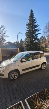 Fiat Panda Automatik mit AHK aus erster Hand TÜV03/28 - Fiat Panda Gebrauchtwagen