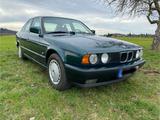BMW 525 tds - BMW 525: Tds