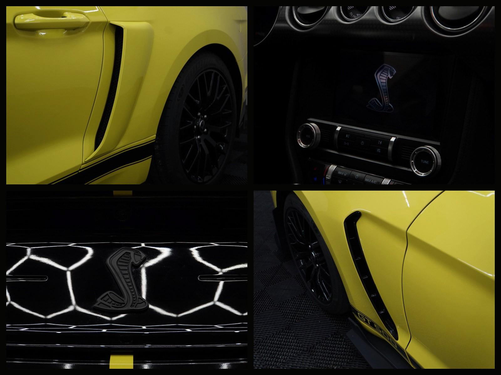 Ford Mustang 5,0 V8 GT500 optik, миниатюра 23
