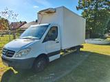 Mercedes-Benz Sprinter 515 cdi  mit Kühlkoffer - Mercedes-Benz: 515 Cdi