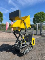 Wacker Neuson DT10, Hochkippmulde, Dumper, NEU - Offers matching your search criteria