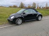 Volkswagen VW New Beetle Cabriolet - VW New Beetle von privat