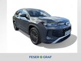 Volkswagen Tayron Life 2,0 DT110 TDID7F - Volkswagen Tayron mit Diesel-Antrieb: Automatik