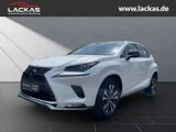 Lexus NX 300h 300 h Style Edition Navi Leder LED ACC A - Lexus aus 2021