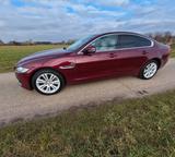 Jaguar XF 30d 300PS Portfolio Automatik Portfolio - Jaguar: X300