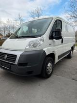 Fiat Ducato - Fiat Ducato Gebrauchtwagen in München