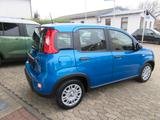 Fiat Panda 1.0 GSE Pandina Hybrid City Paket Radio - Fiat Panda mit Benzin-Antrieb: Kleinwagen