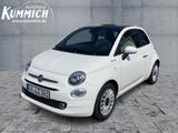 Fiat 500 1.0 Hybrid DOLCEVITA 70 PS - Fiat 500 Vorführfahrzeuge