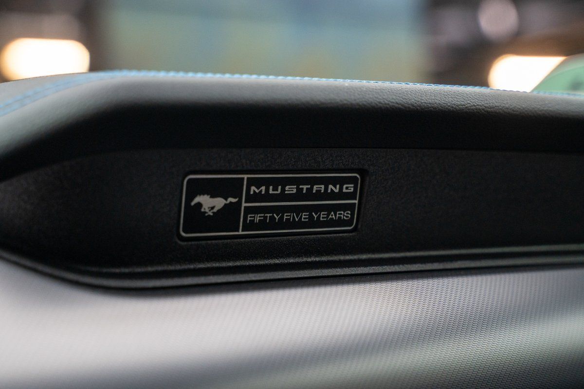 Ford Mustang (GT 5.0 Garantie 7J/100tkm, 1.Hand, Topzu)