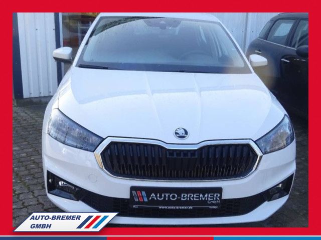 Fahrzeugabbildung SKODA Fabia 1.0 MPI Selection  Klima