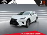 Lexus NX 300h Amazing Edition *SHZ*LHZ*KAMERA* - Lexus: Nx