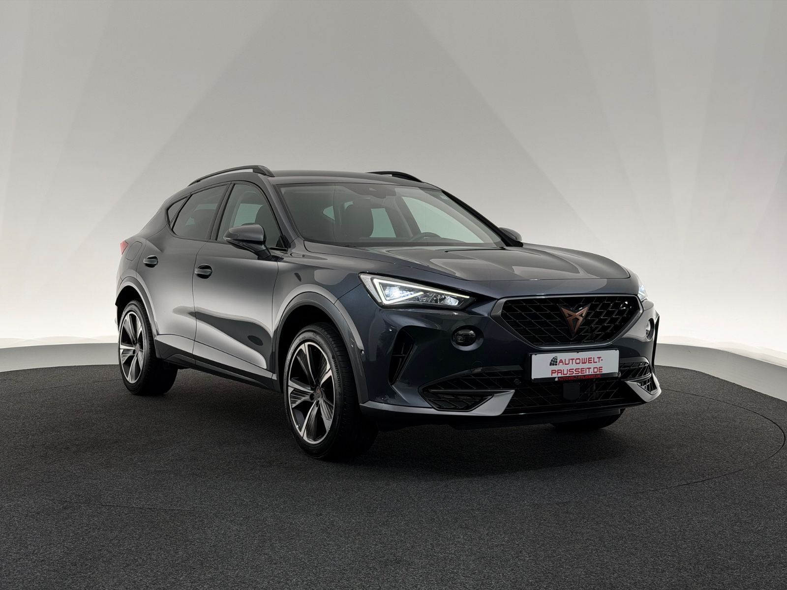 Cupra Formentor 2.0 TSI 4Dr.