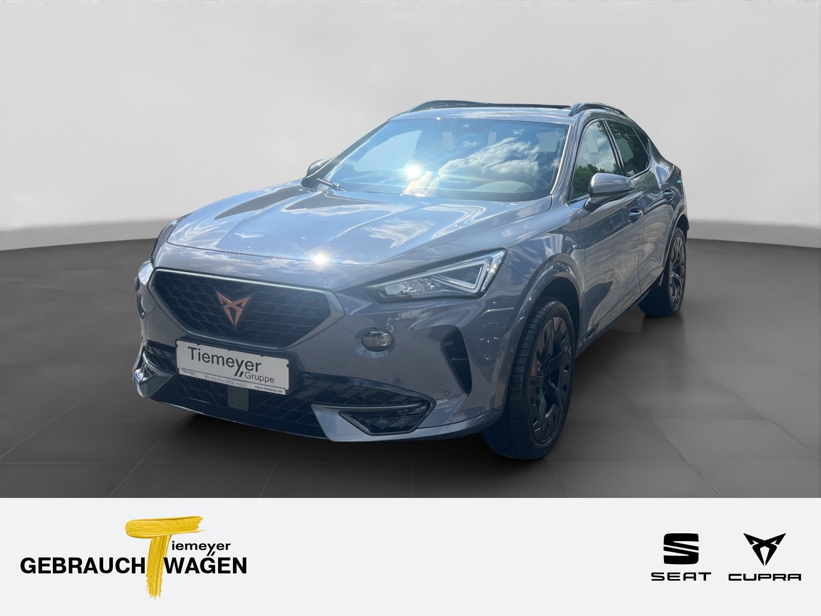 Cupra Formentor 1.5 TSI DSG NAVI PANO PARKLENK SITZH