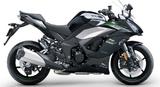 Kawasaki Ninja 1000 SX WEIHNACHTSSPECIAL!! - KAWASAKI W1