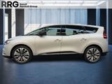 Renault Scenic  GRAND BUSINESS EDITION TCE 140 - Renault Scenic aus 2021