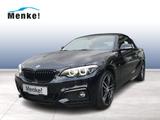 BMW 218d Cabrio M Sportpaket HK HiFi DAB RFK USB - : Cabrio, Us