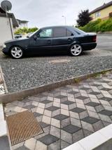 Mercedes-Benz Mercedes w202  c230 Sport klima - Mercedes-Benz C 230 aus 1996