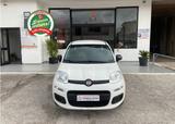 Fiat Panda 1.2 Fire 70cv KM 60.000 2020 - Fiat Panda: Fire