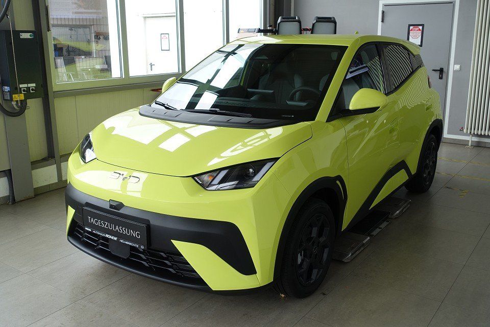 BYD DOLPHIN SURF