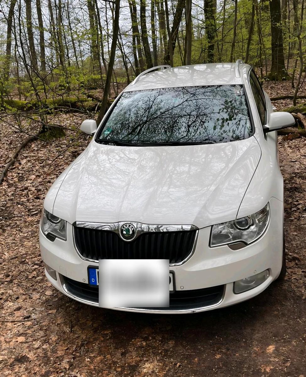 Volkswagen  2010 — rear view